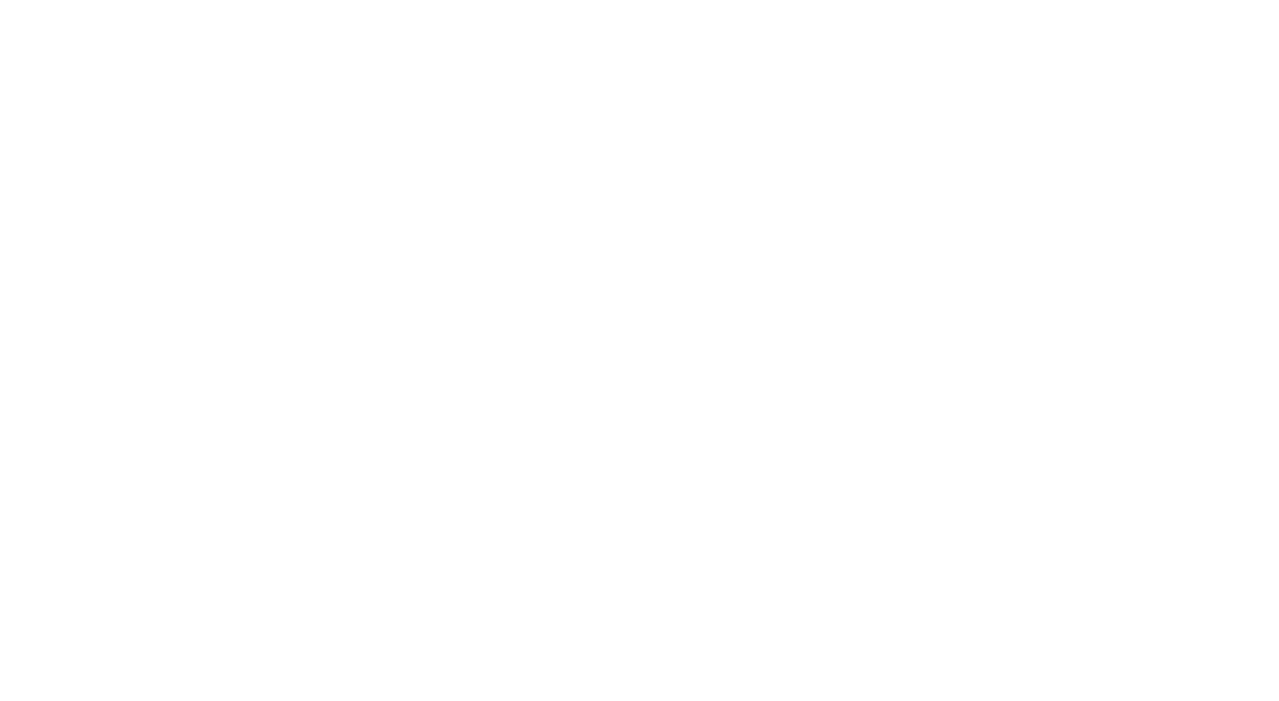 Logo CEV Group
